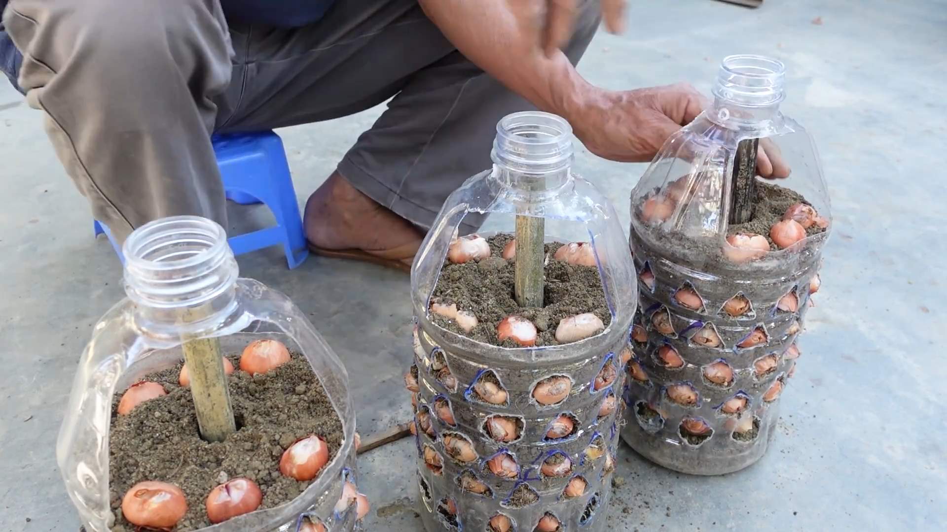 Storing Onions Long Term