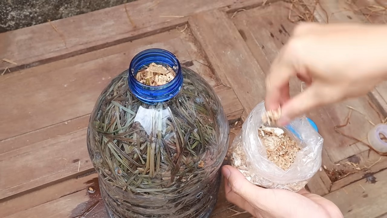 Mushroom growing plastic bottle