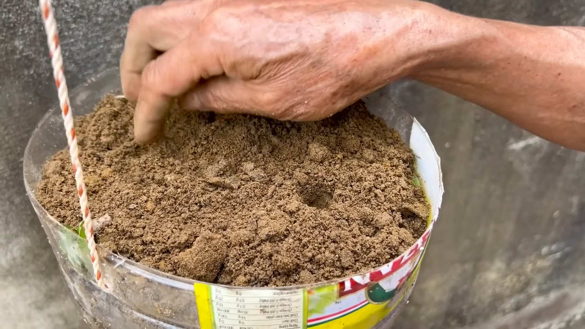 Grow Sweet Melons at Home