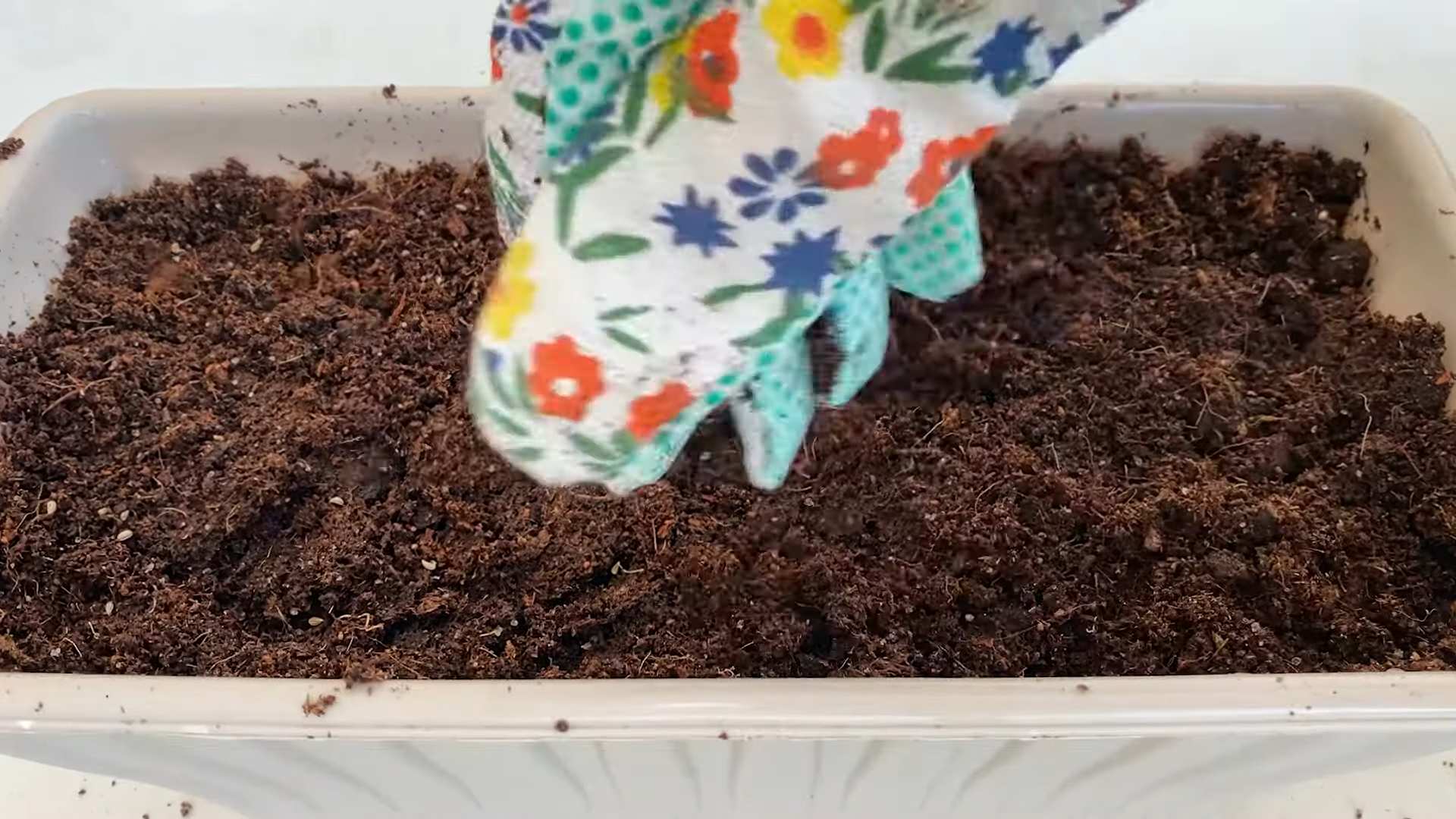 Growing Parsley Indoors With Light