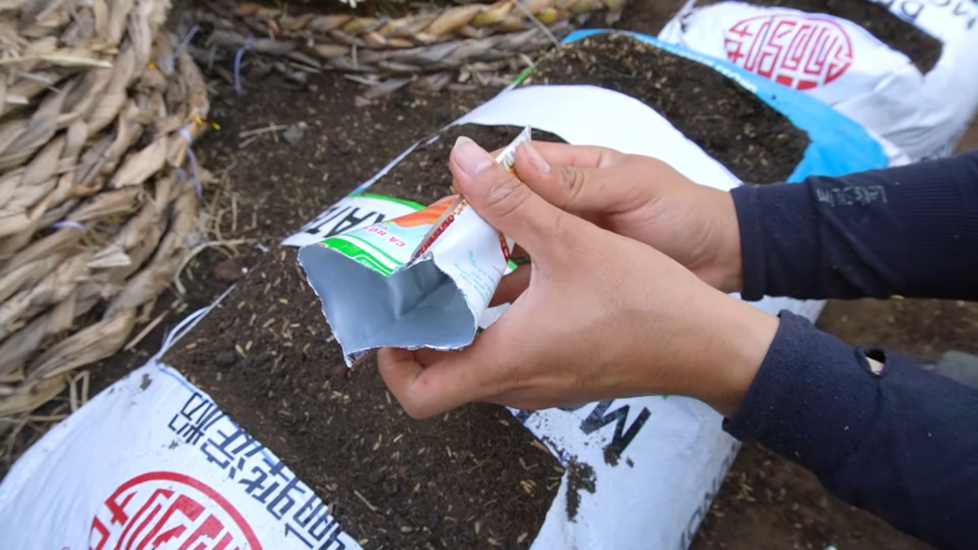 Grow Carrots in Bags