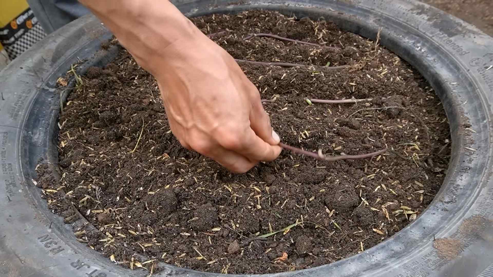 DIY Plastic Garden