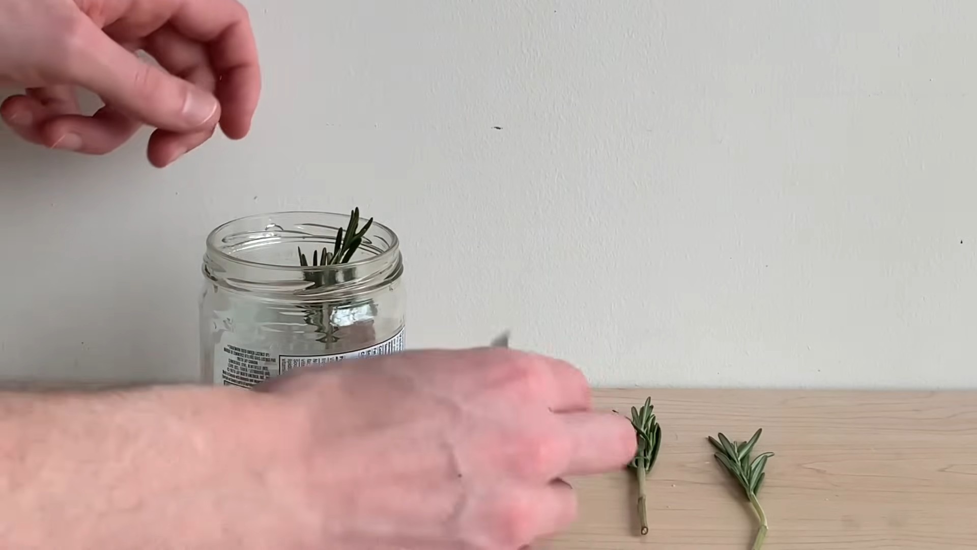 Soilless Rosemary Growing