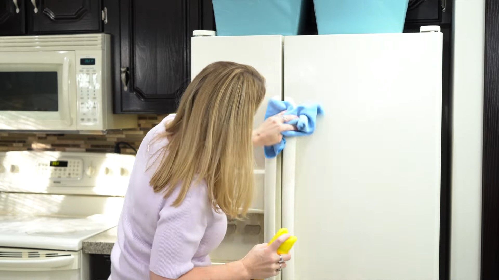 DIY appliance leather shine
