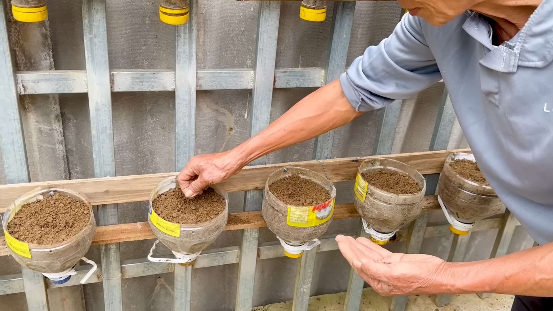 Growing Kale in Bottles