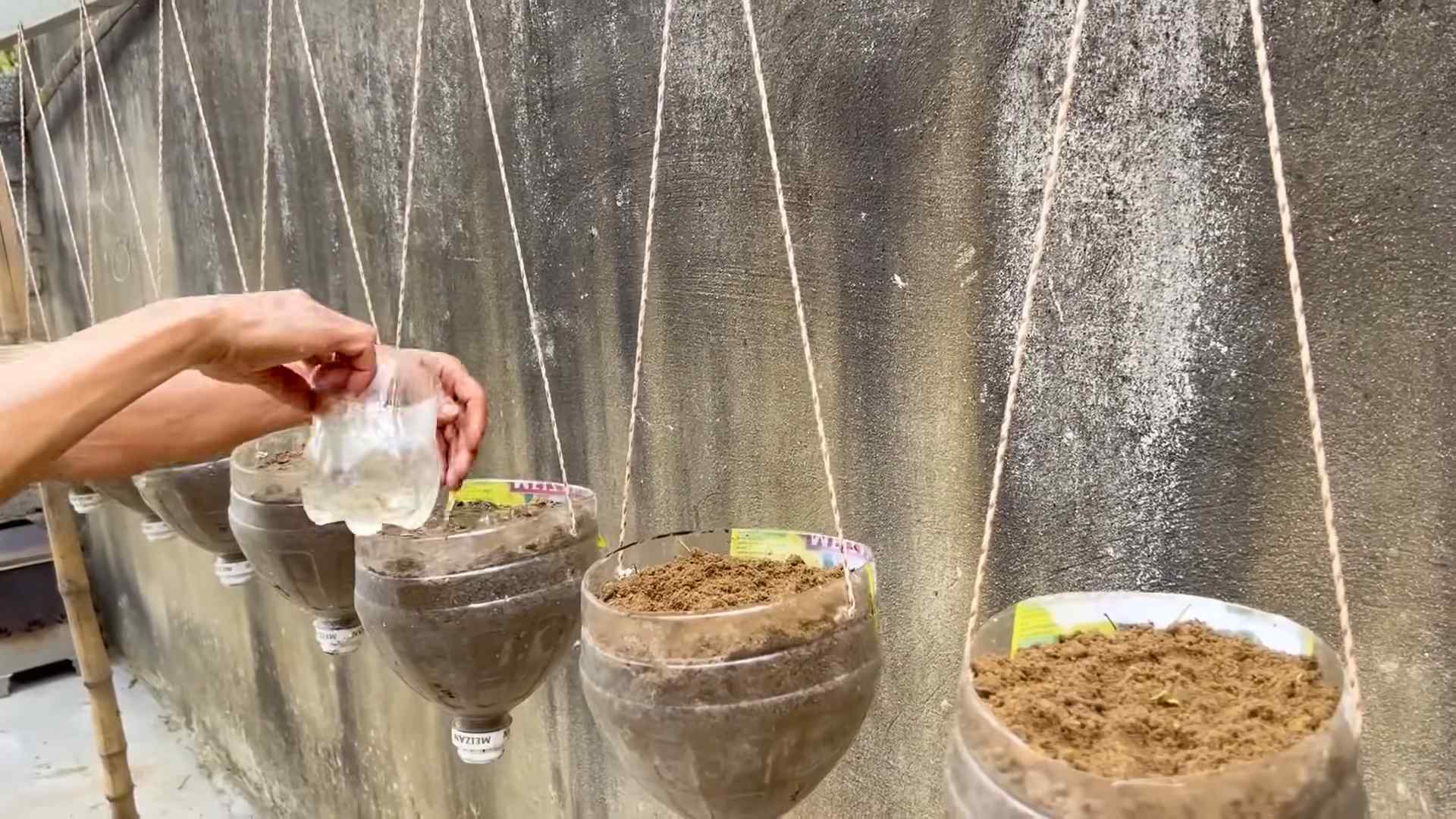 Easy Melon Growing